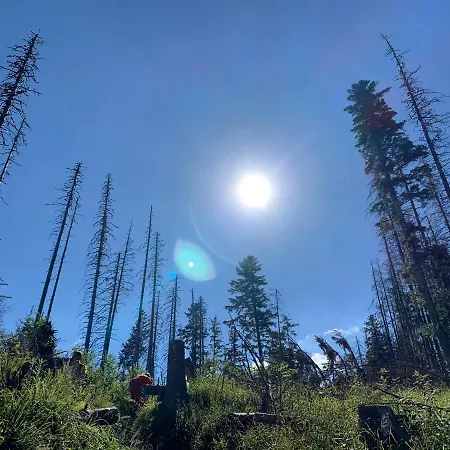 Daire Tomalowka Kościelisko